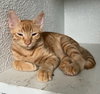 Jupiter #car-stowaway - Photo 3