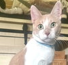 Ember #brother-of-Coal - Photo 2
