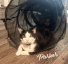 Parker #trailer-trash-no-more - Photo 1