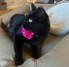 Amber #dumpster-diva - Photo 2