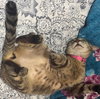 Lily #seeks-out-affection - Photo 2
