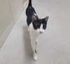 Lorelai #ms-curious - Photo 4