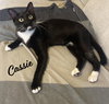 Cassie #it-takes-a-village-momma - Photo 1