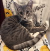 April #snuggle-queen - Photo 1