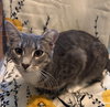 April #snuggle-queen - Photo 2