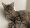 Rosita #calm-bedfellow - Photo 3
