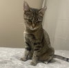 Rosita #calm-bedfellow - Photo 2