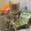Rosita #calm-bedfellow - Photo 2