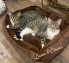 Clover and Luna #bonded-sisters - Photo 1