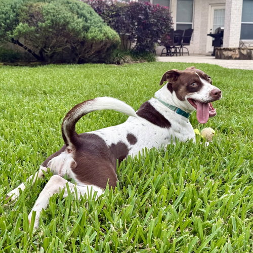 Susie #lovebug-extraordinaire photo 3