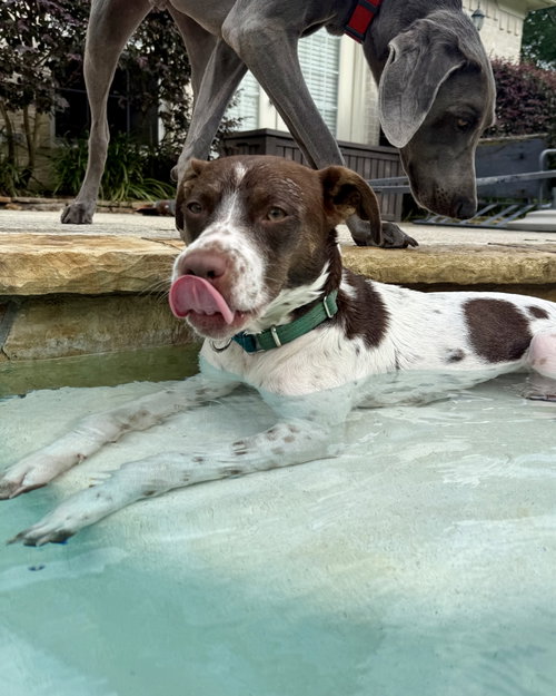 Susie #lovebug-extraordinaire photo 1