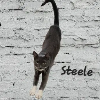 Steele Old-Man-Big-Heart image 2