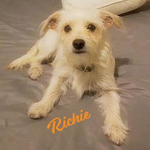 Richie #found-on-aisle-9