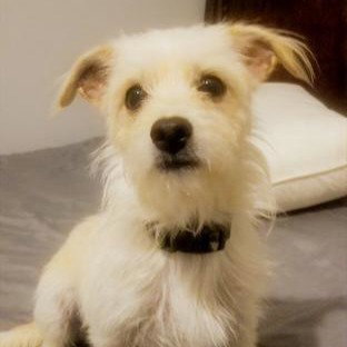 Richie #found-on-aisle-9 photo 2