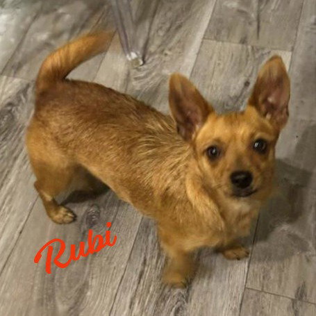 Rubi #sweet-n-low