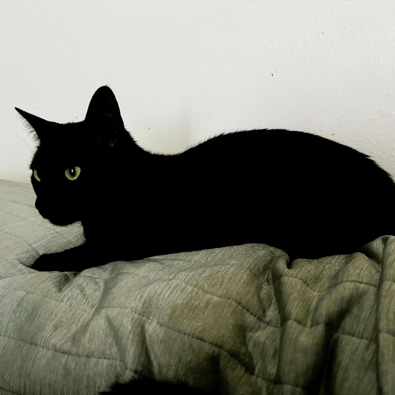 Daphne Blake, photo 3