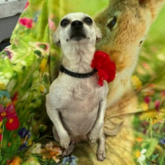 Photo 4 of Kathy #bestie-of-Kate