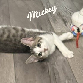 Mickey #Brother-Of-Minnie