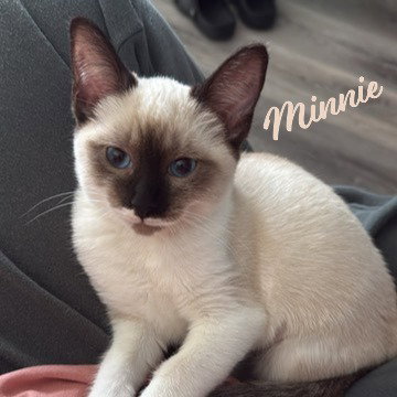 Minnie #Sister-Of-Mickey