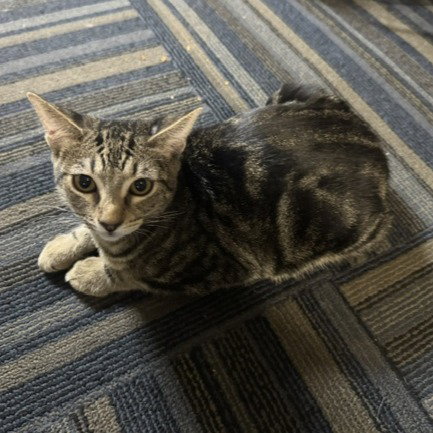 Photo 5 of Usher #all-time-playgirl