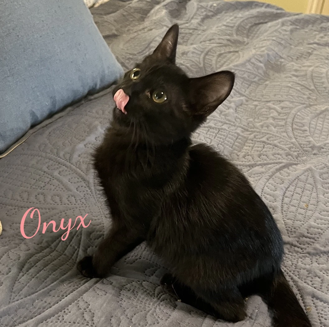 Onyx
