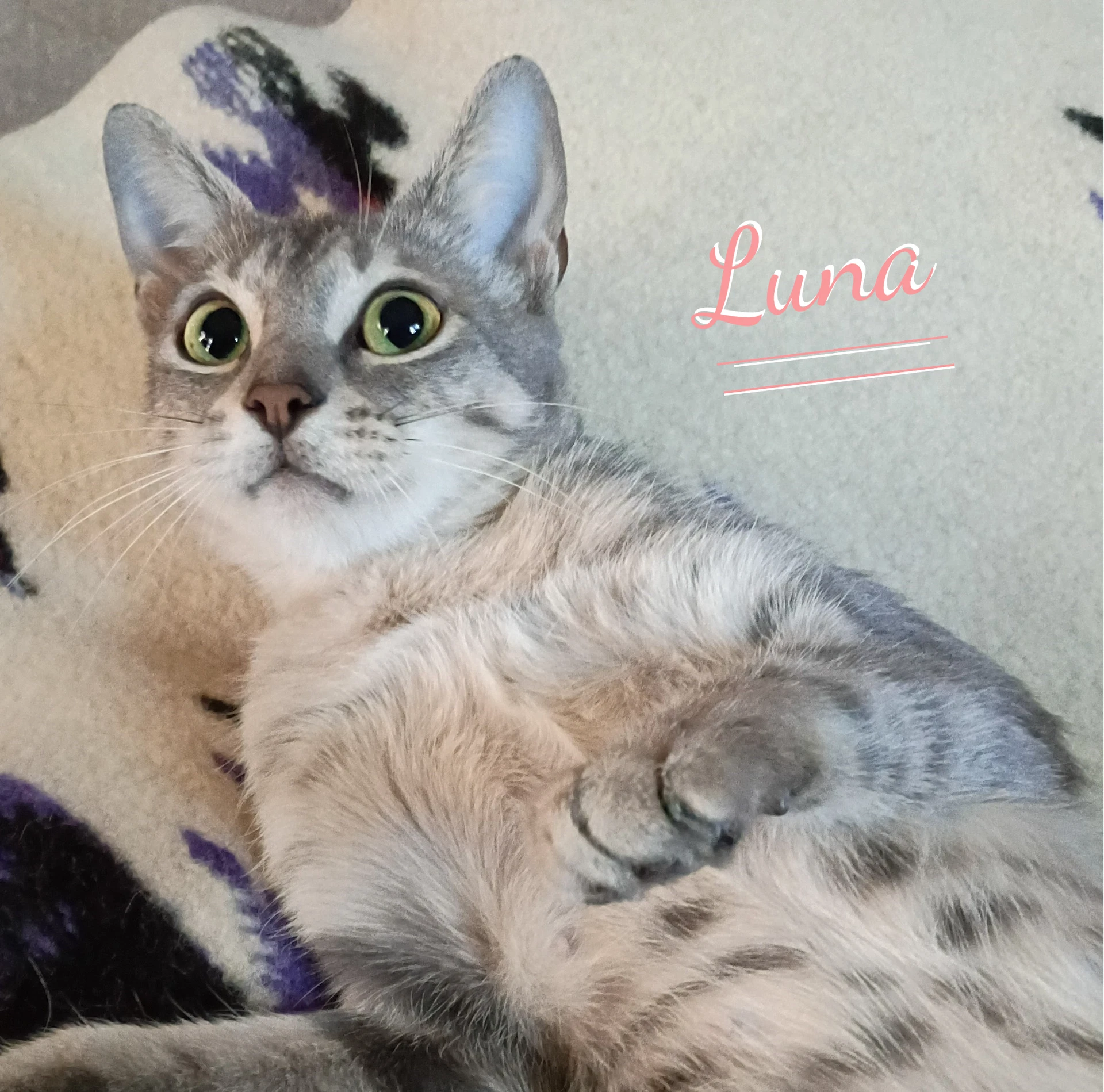 Luna Begs-For-Kisses