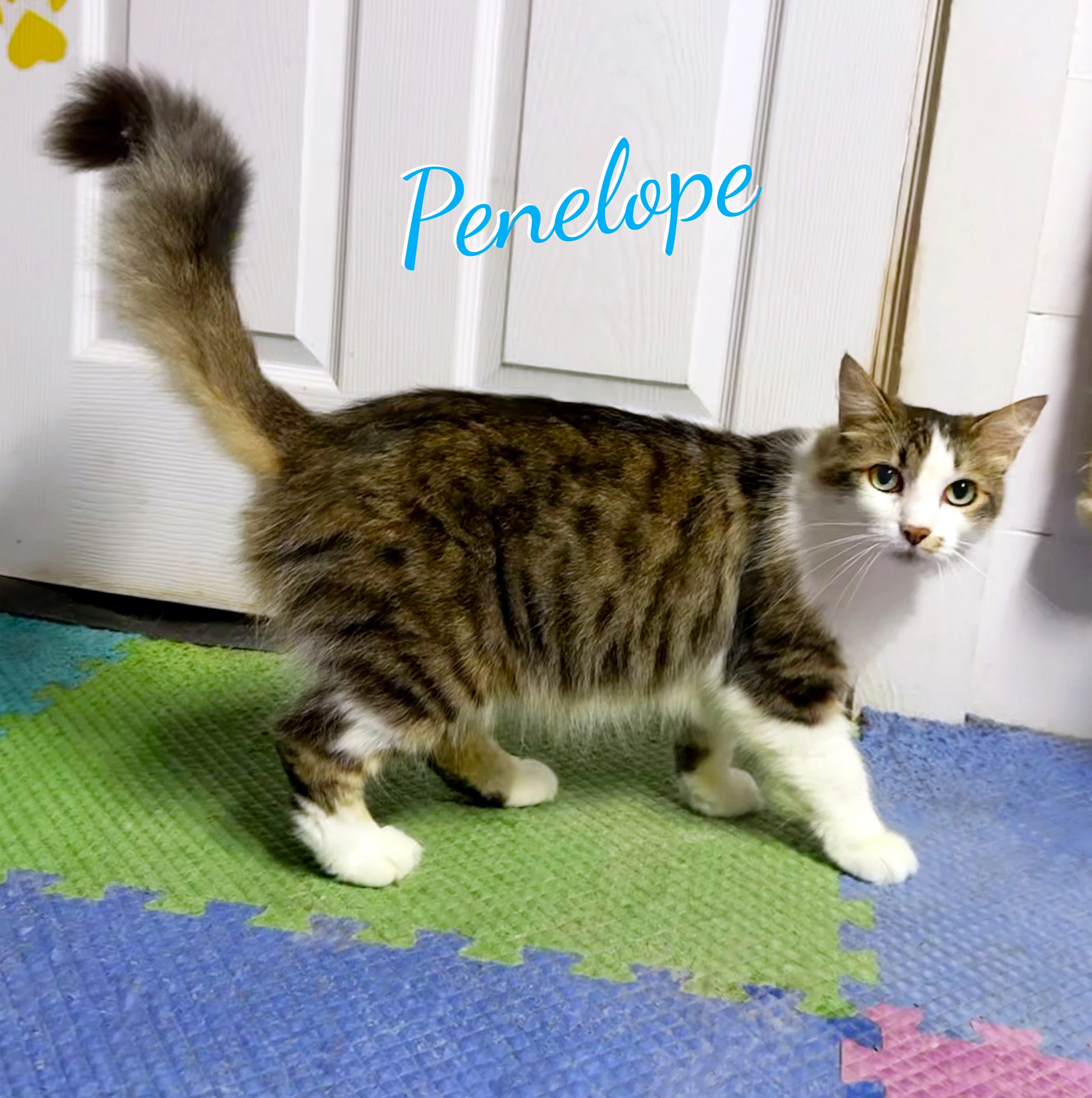 Penelope Fabulously-Fluffy
