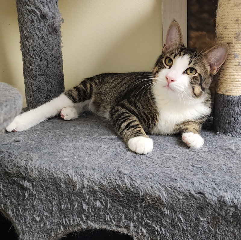 Oliver #bonded-to-Olivia, photo 5