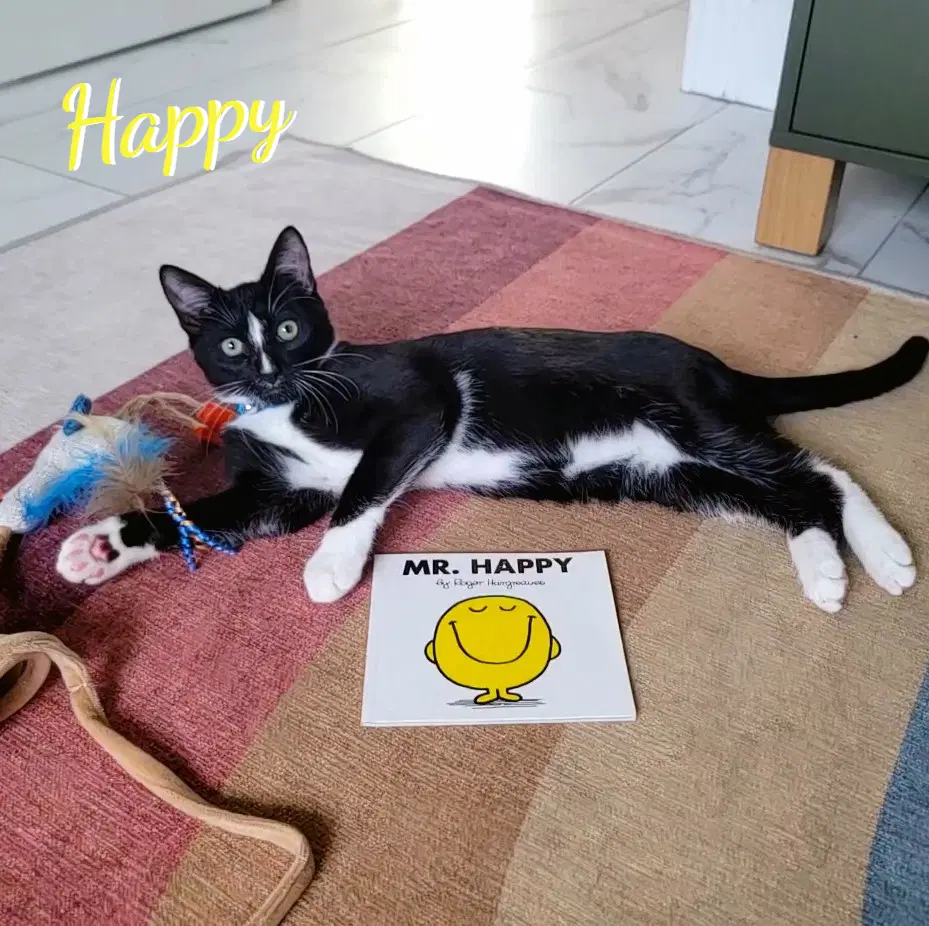 Happy Used-Tire-Crew - Tuxedo