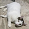 Ghost - Photo 2