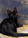 Lilith - Photo 3