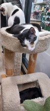 Sophie - Photo 4