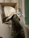 Freeway & Francisco - Photo 2