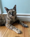 Ember - Photo 5