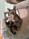 Ember - Photo 3