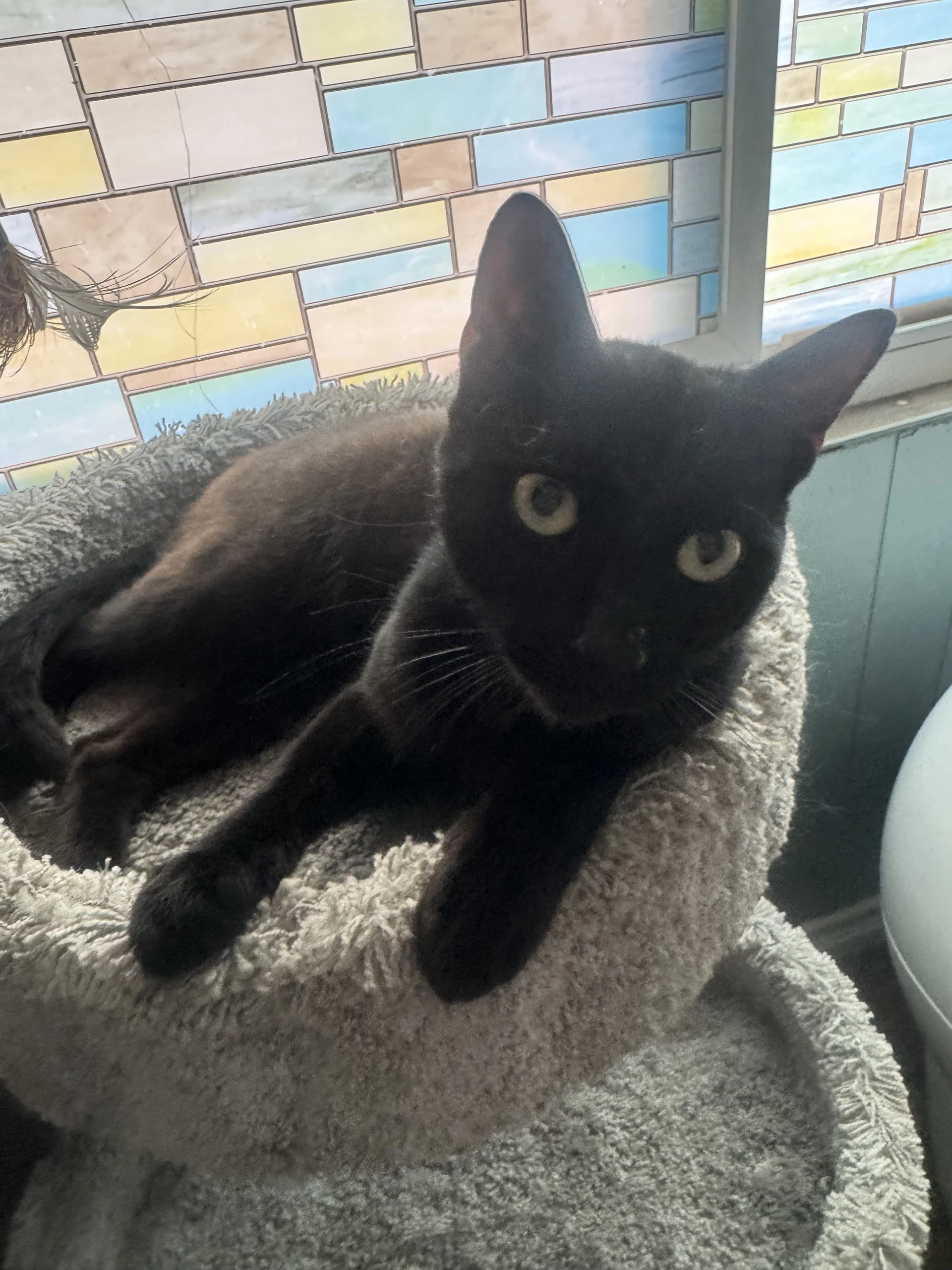 Trouble