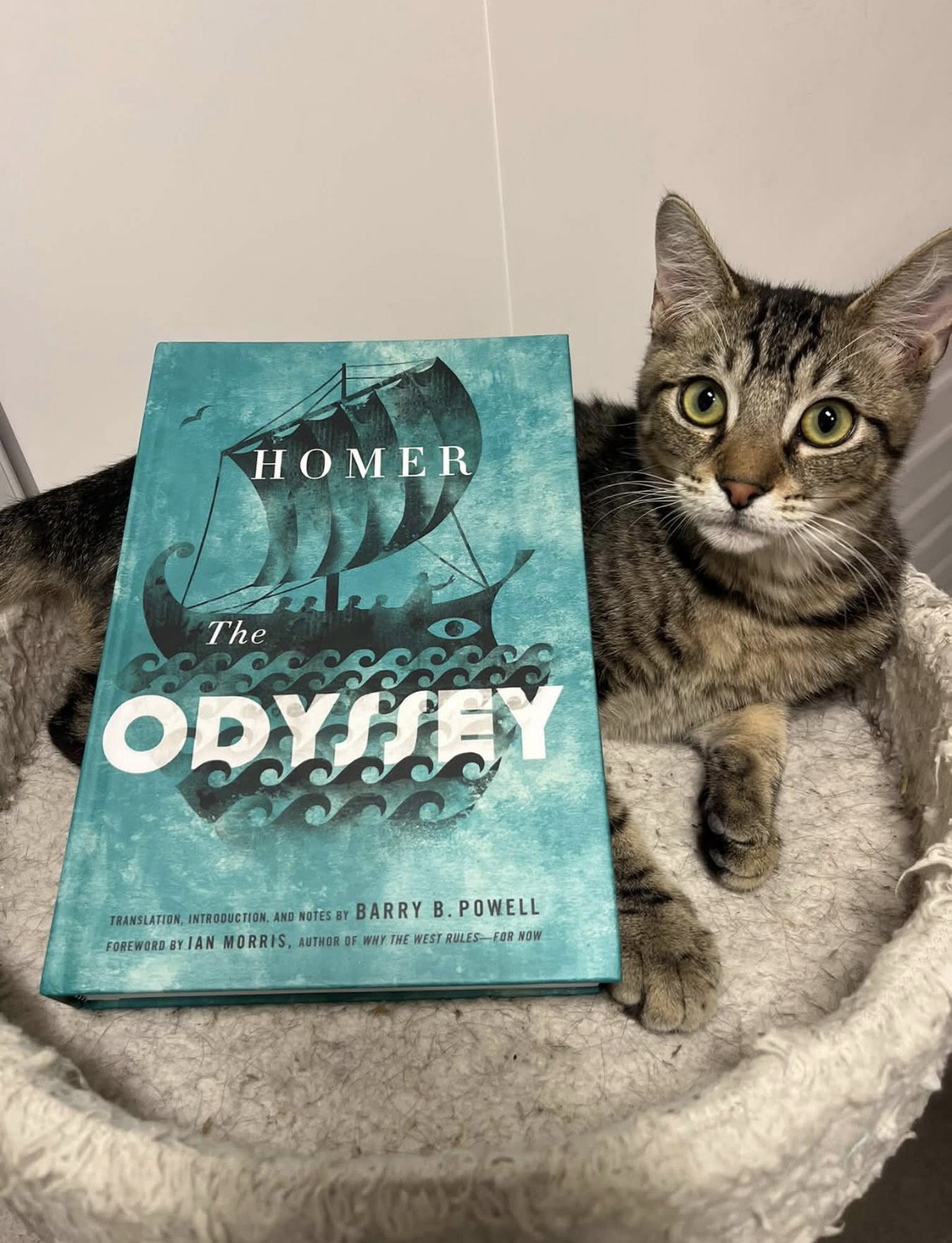 Odysseus