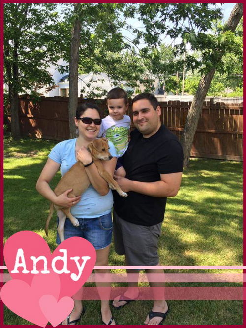 Andy