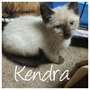 Kendra