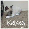 Kelsey