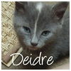 Deidre