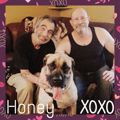 Honey