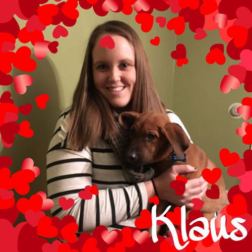 Klaus
