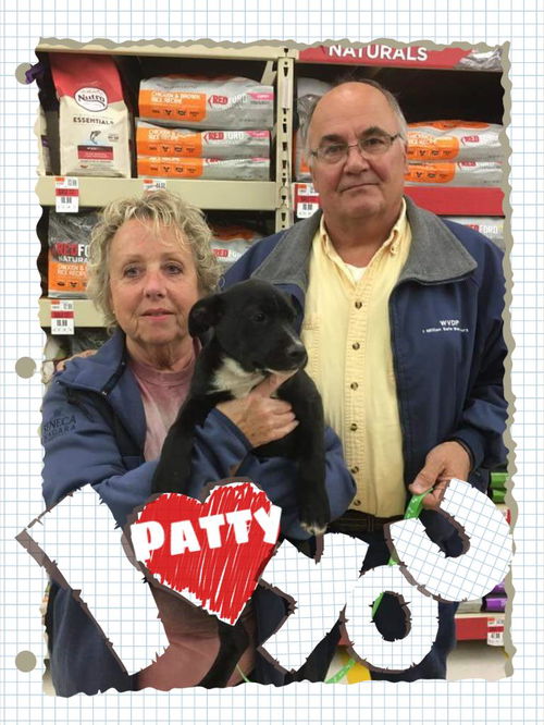 Patty