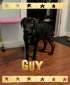 Guy