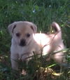 Marley S.