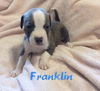 Franklin