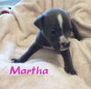 Martha
