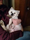 Floyd