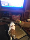Coco and Precious